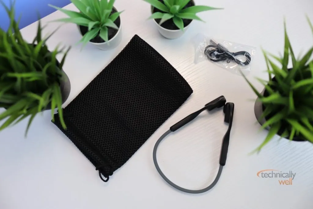 Truefree F1 headphones with included carrying bag and charging cable